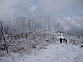 lysa_21_10_07_10.JPG