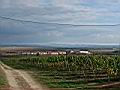 tjm_2007_32.JPG